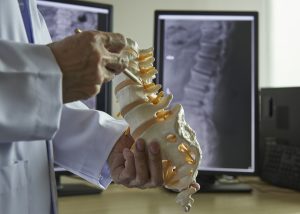 A neurosurgeon pointing at lumbar vertebra model