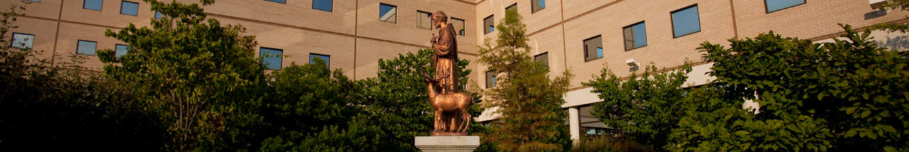 Saint Francis courtyard exterior