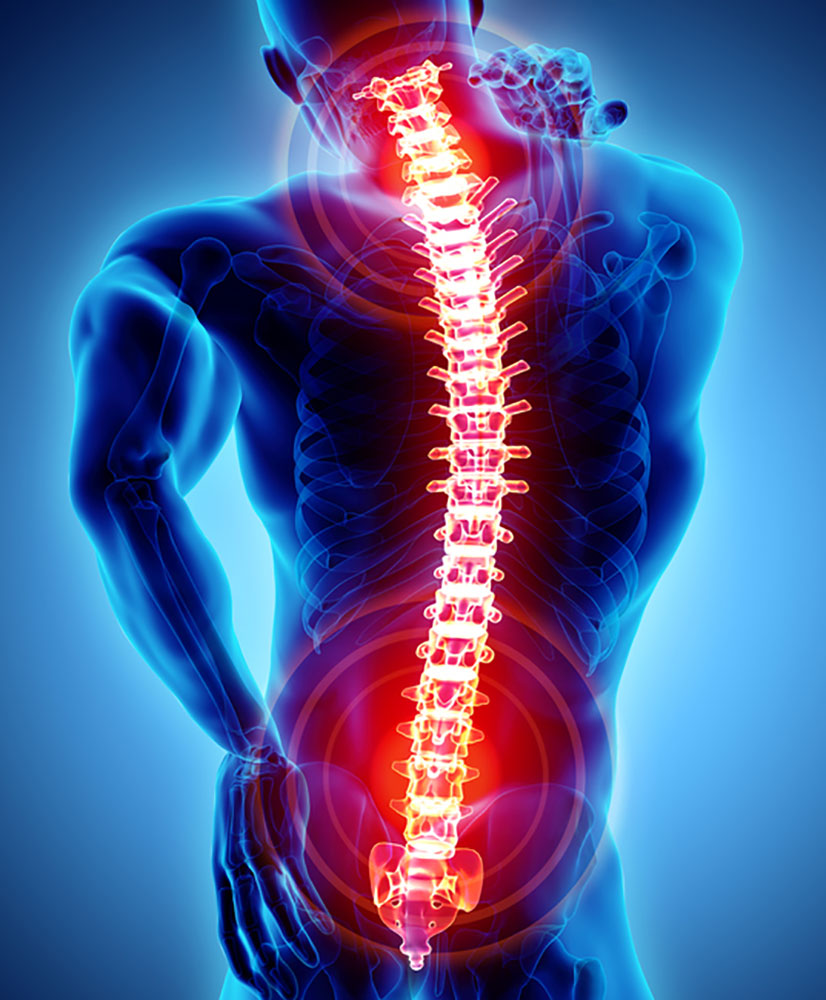 spinal cord pain