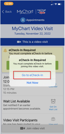 video visit mychart