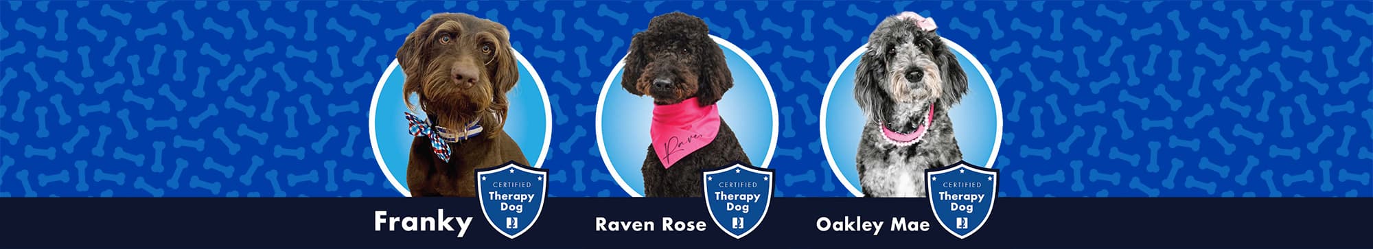 Therapy Dogs Franky, Raven Rose, Oakley Mae